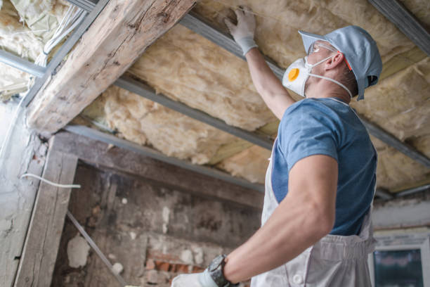Best Eco-Friendly Insulation in Murfreesboro, AR